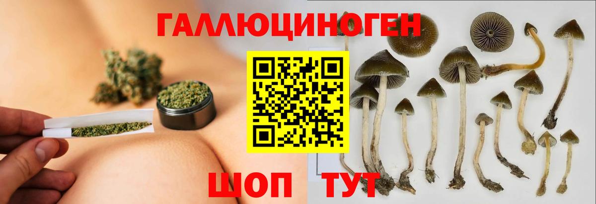 дарнет шоп  Псилоцибиновые грибы ЛСД  Вход с VPN  Иваново 